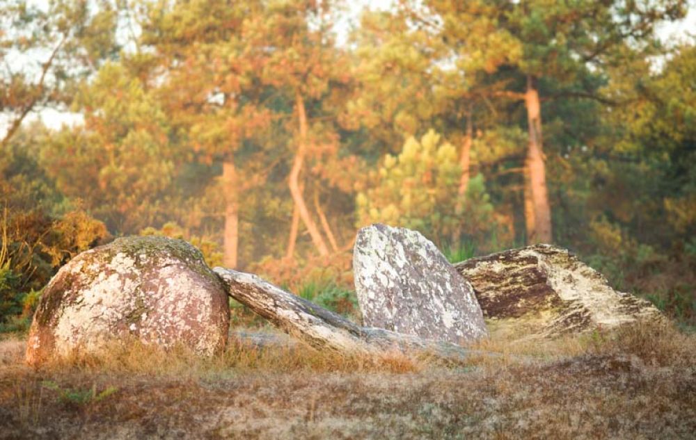 foret broceliande bretagne